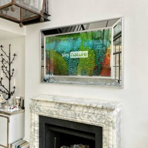 French-Cushion-TV-Mirror